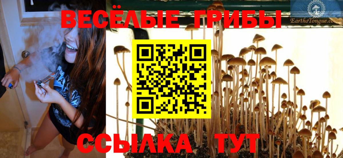 Псилоцибиновые грибы Magic Shrooms  Псилоцибиновые грибы Magic Shrooms  Шелехов  Вход с VPN 